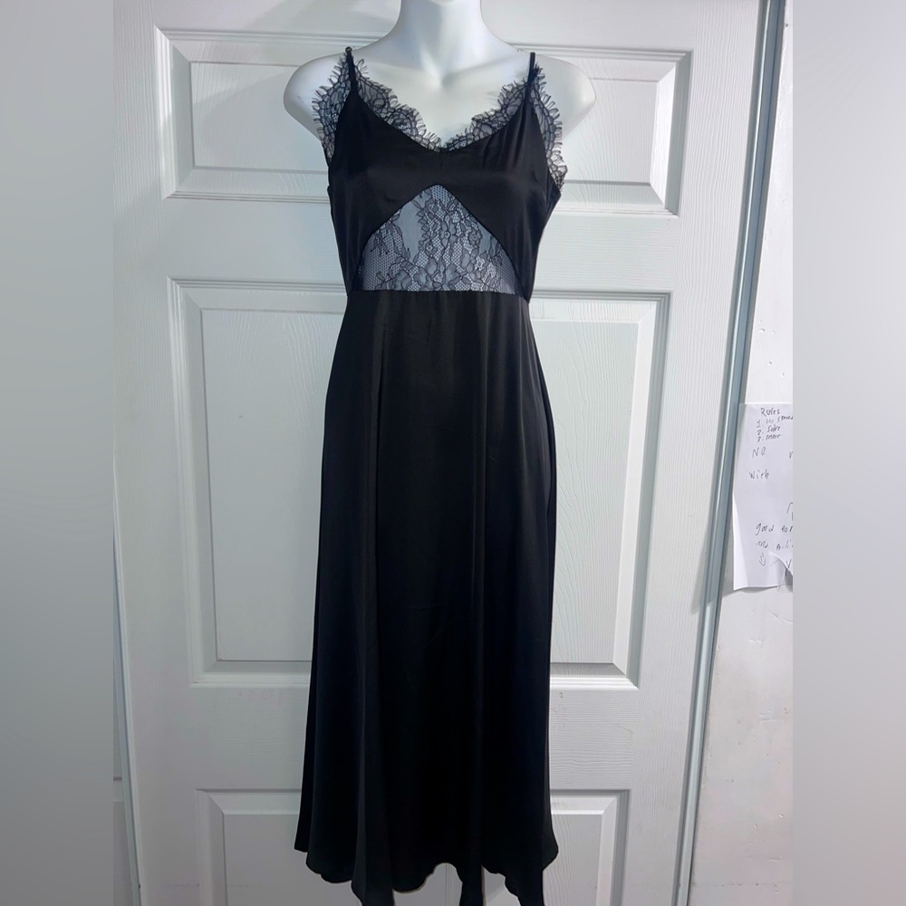 NWT Slideshow Lace Silk Dress